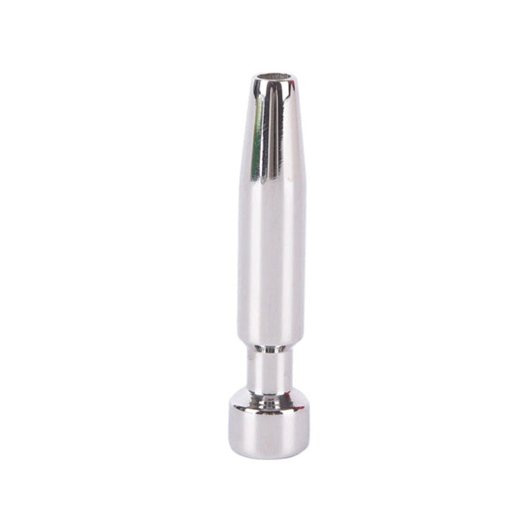 Bling a  Ding Dong 2" Plug
